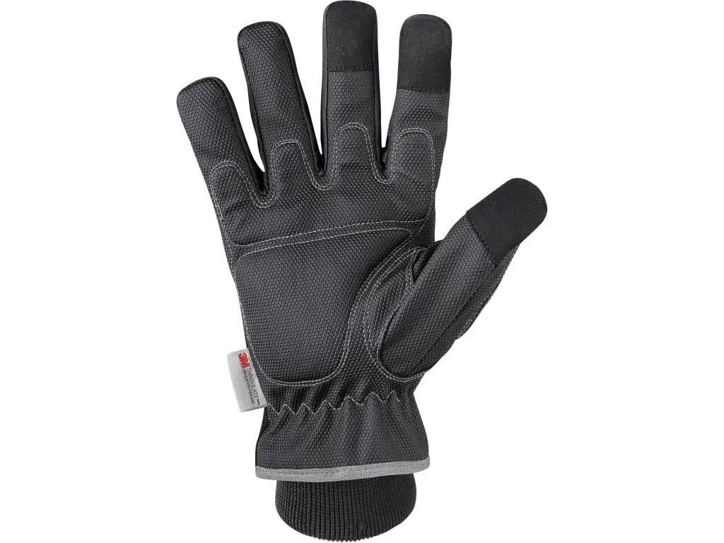 Gloves CXS METIS W, winter with 3M Thinsulate insulation - L - Euro Work Wear